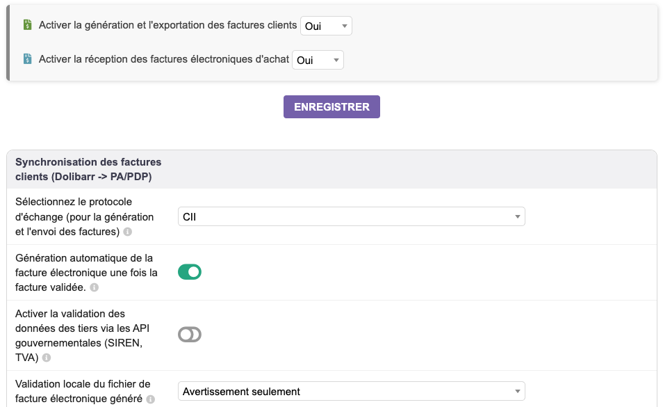 Onglet Options du module EInvoicing